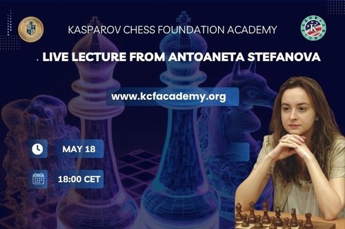 stefanova banner
